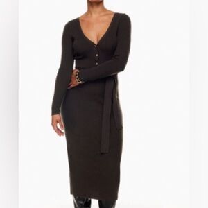 The Group of Babaton Aritzia Henley dress